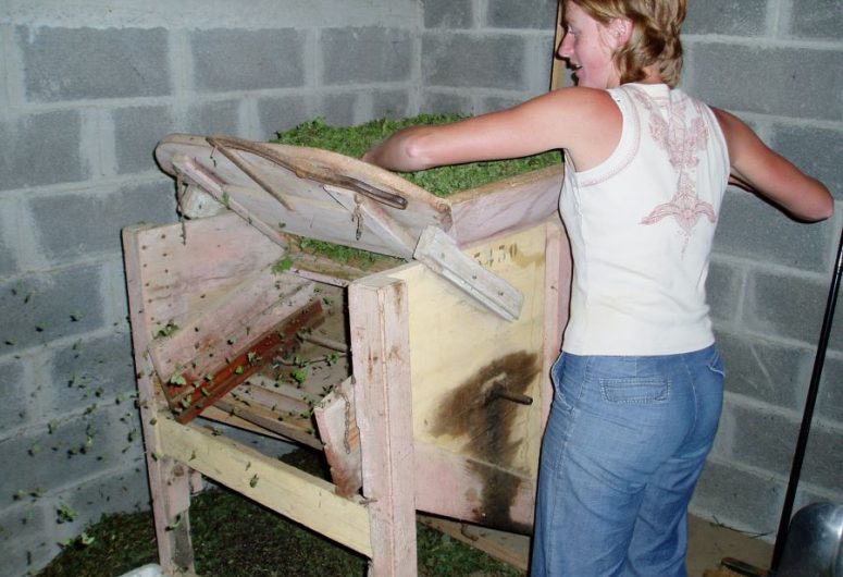 Visite guidée – Tisanes et Herbes Ker héol – Tréogat – Pays Bigouden