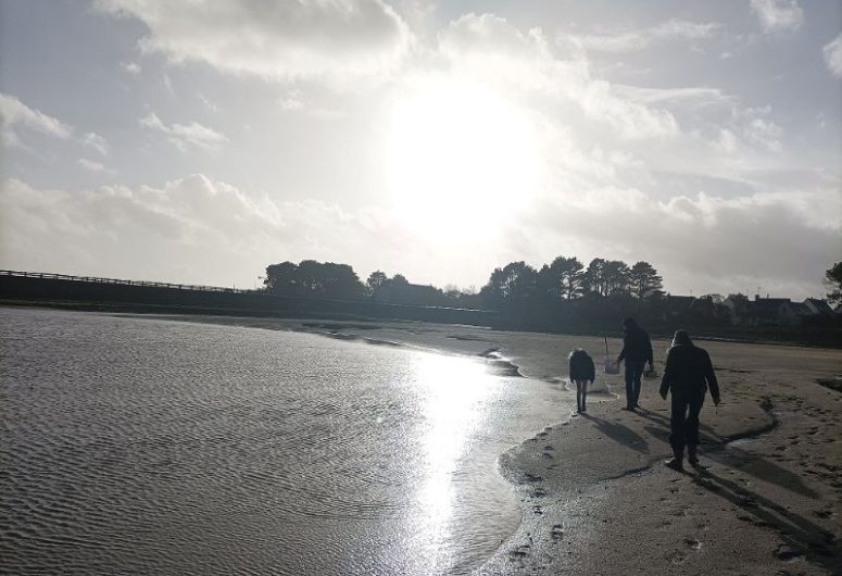 Découverte de l’estran – Pêche à pied – Pays bigouden – Bigoudenjoy