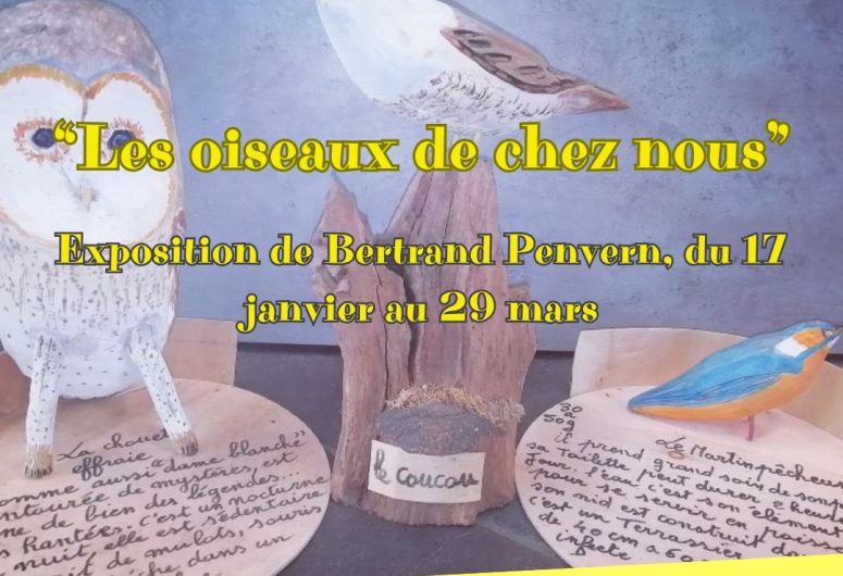 exposition-les oiseaux-de-chez-nous