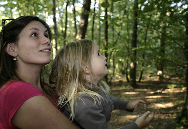 Photo de balade en famille en forêt