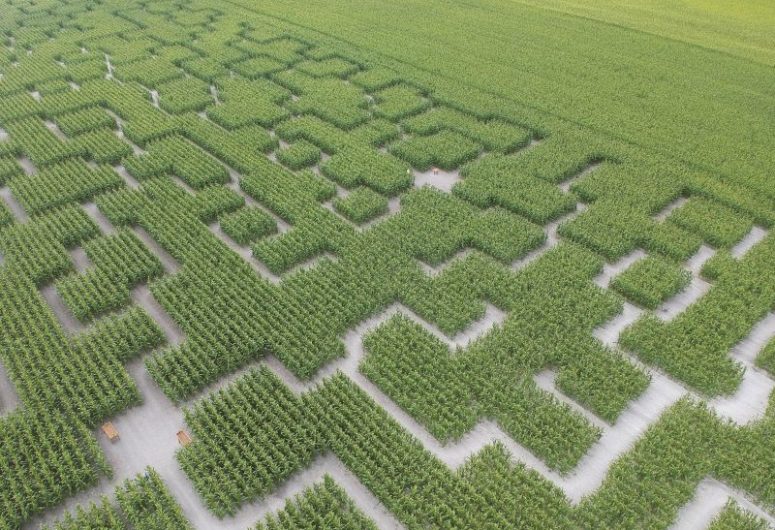 Pop Corn Labyrinthe – Pont-l’Abbé – Pays Bigouden – Bigoudenjoy