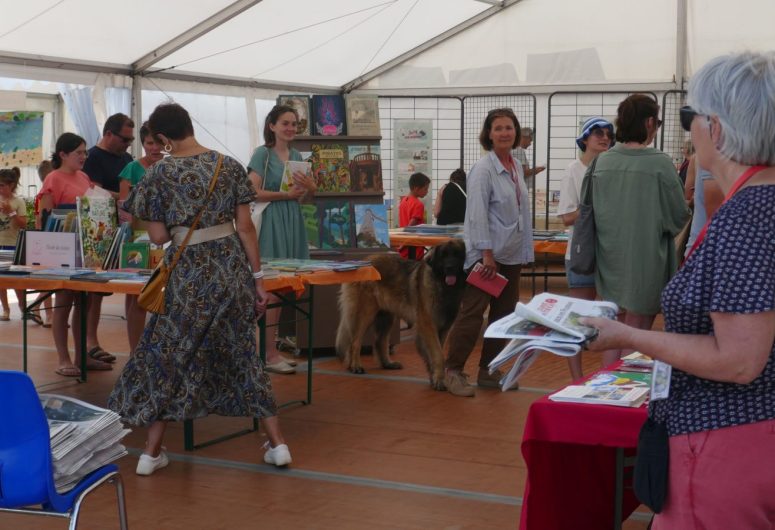 public Librairie du Festival