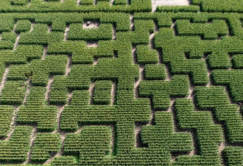 Pop Corn Labyrinthe – Pont-l’Abbé – Pays Bigouden – Bigoudenjoy