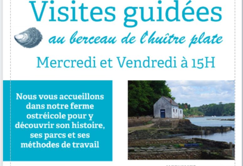 VISITES—AFFICHE