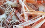 Fête de la langoustine – Plobannalec-Lesconil – Pays Bigouden – Bigoudenjoy