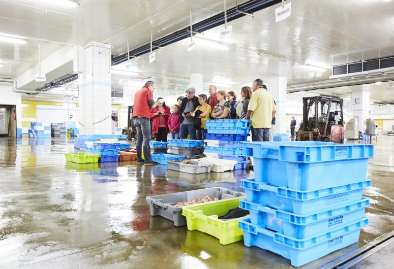 Visite guidée de la criée côtière – Haliotika – Guilvinec – Pays Bigouden