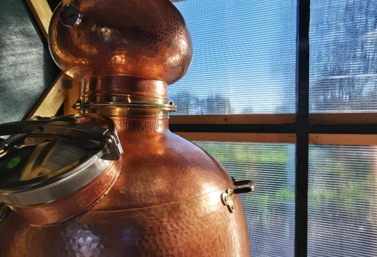 Visite de Mammen  distillerie  – Pouldreuzic – Pays Bigouden